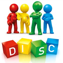 DiSC for Team Building